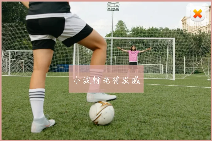 小波特老将发威