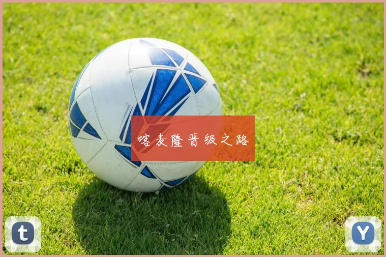 喀麦隆晋级之路